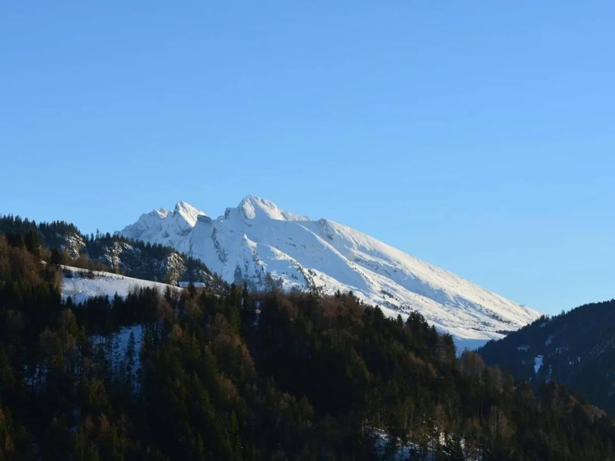 Appartement 3 Pieces Avec Garage, 6 Couchages Au Grand-Bornand - Fr-1-241-100 Le Grand-Bornand 0*,